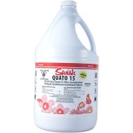 Swish® Quato 15 Disinfectant Cleaner & Odour Counteractant - 3.78L