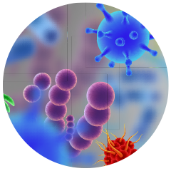 Bacteria on surfaces